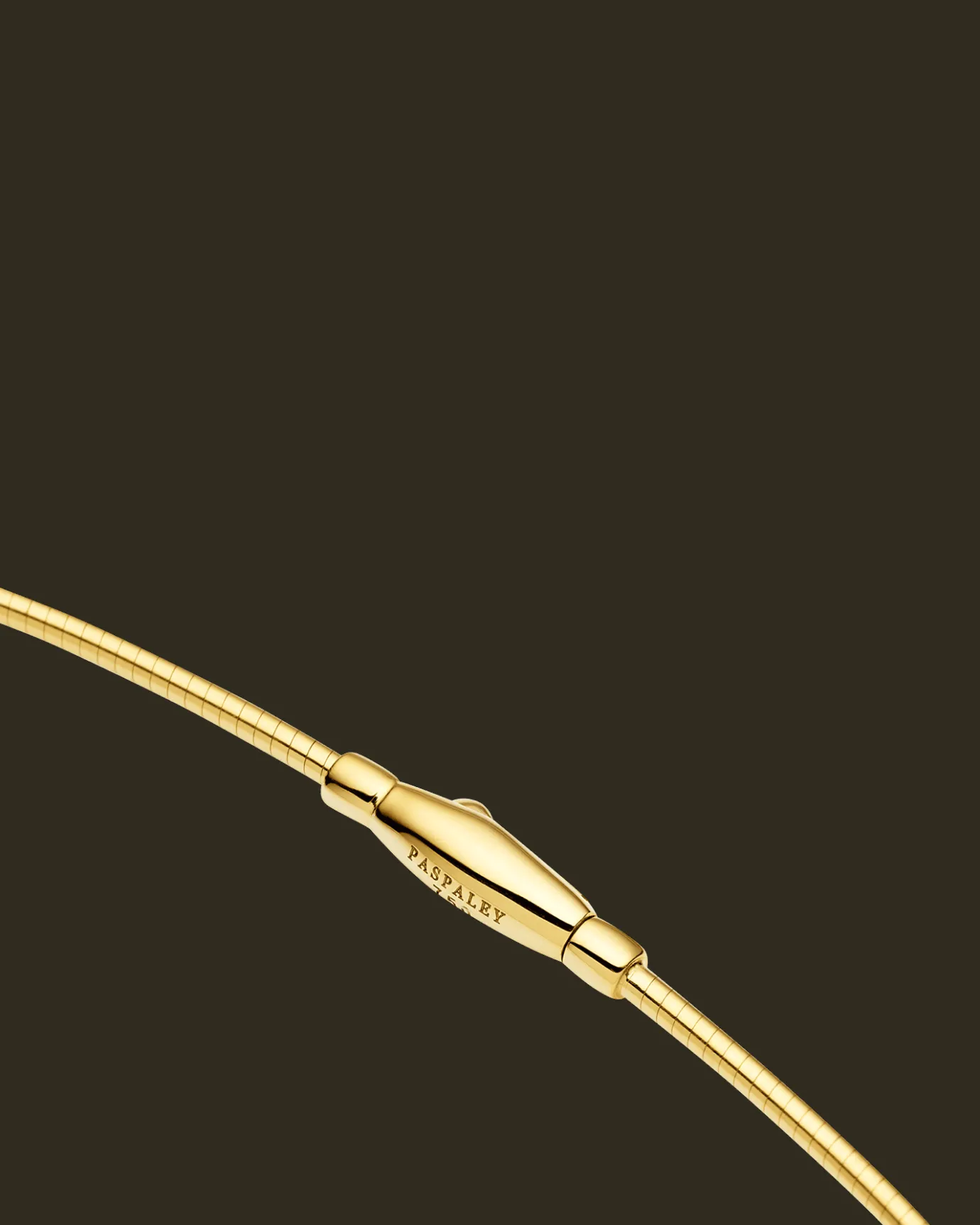 Chains, Charms & Accessories^Paspaley Omega Chain | Yellow Gold YellowGold